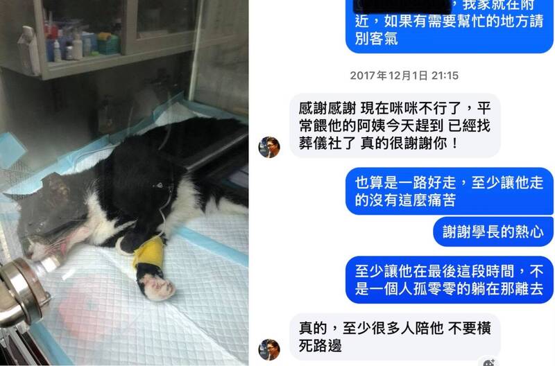 曝沈伯洋9年前自費救車禍小貓善舉!昔學生:他始終善良溫暖