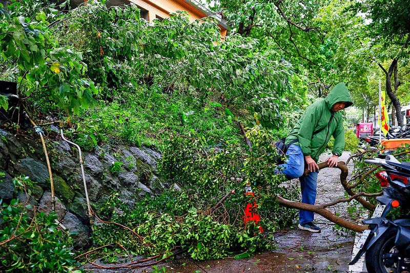 《TAIPEI TIMES》 Storm leaves after killing one and injuring 616