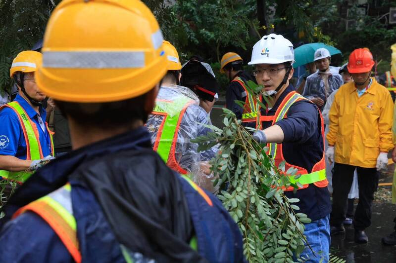 蔣萬安「撿樹枝」惹議 張育萌:身邊跟一群以擺拍為樂的庸才