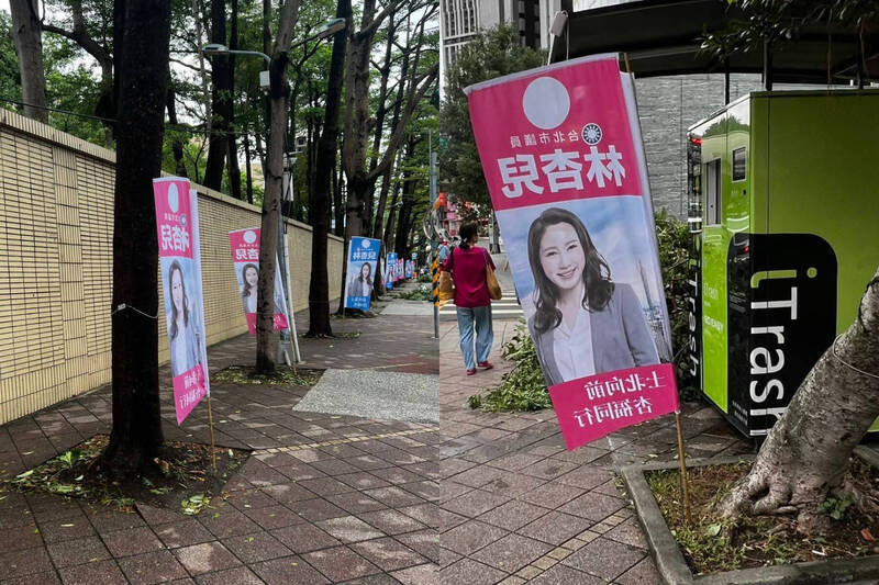 遭爆競選旗違規插樹穴 林杏兒致歉自請開罰