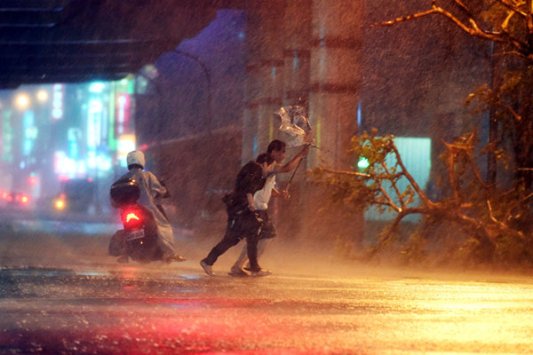 小鋼砲杜鵑颱風襲台