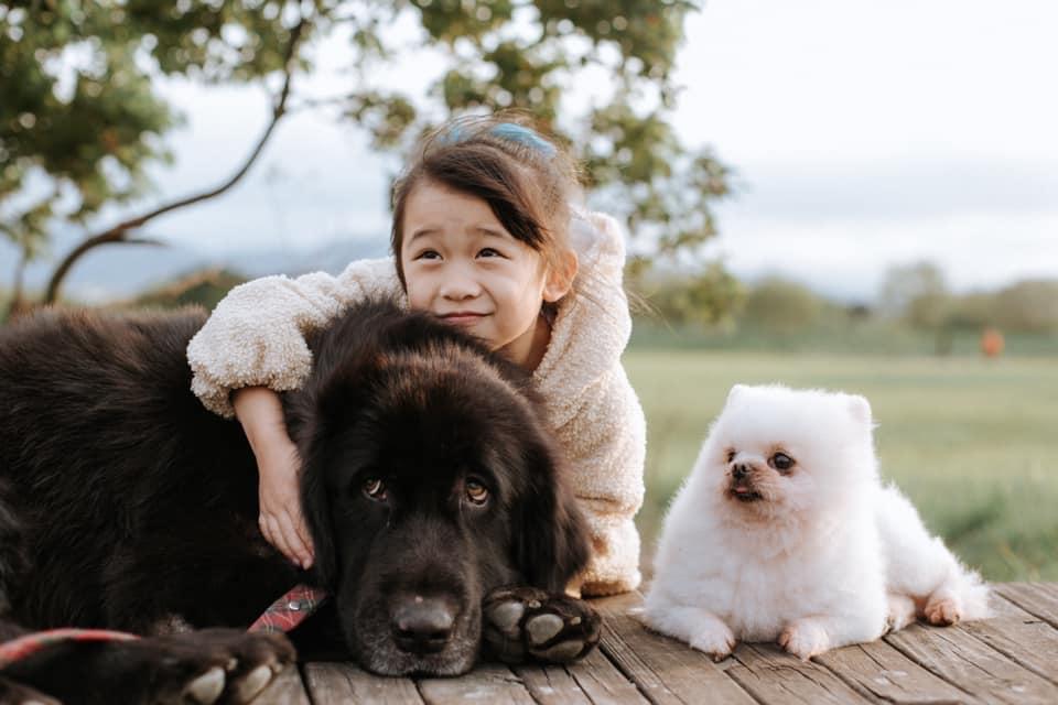 牠 不是惡犬 獒犬飼主揭飼養秘辛曾遭批評 哪天咬死你女兒不要後悔 寵伴partners