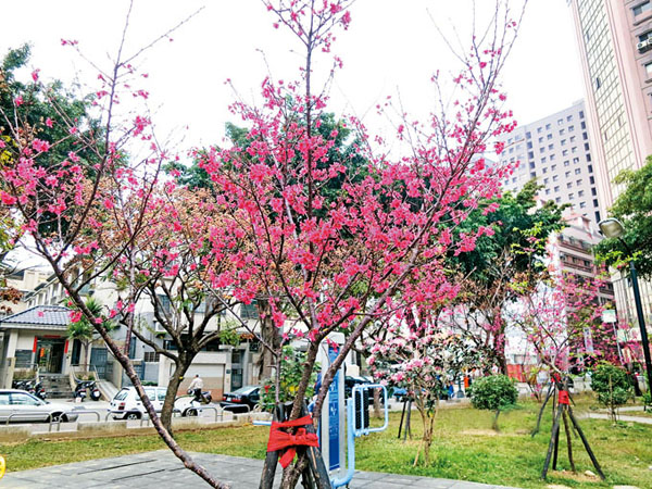 （圖片提供／莊茂得）