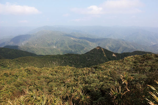 低矮的風剪樹及綿延的山巒美景，洗去不少沿途的疲憊。