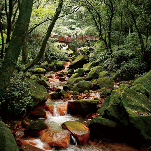 走在餐廳的遊園道上，森林、溪水和瀑布，所展現原始的自然畫面，讓人神清氣爽。