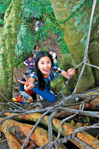 森林博物館就是自然原始的森林，遊客可以體驗爬樹的快感。