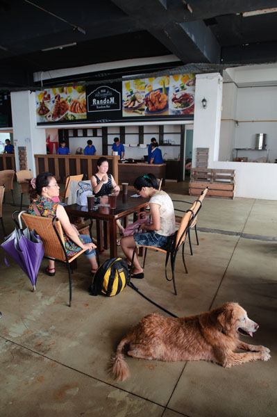 餐廳裡常見飼主帶著愛犬優閒坐在這裡喝飲料或者用餐。