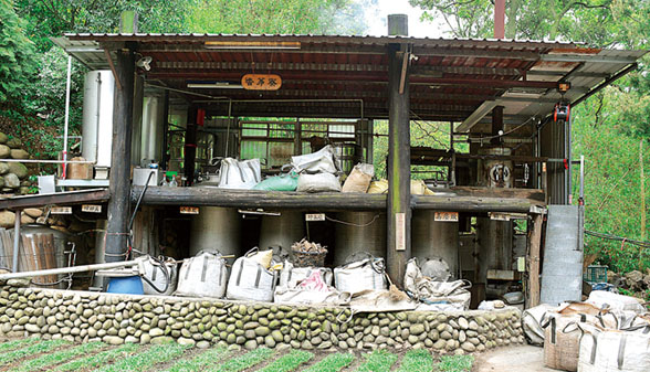 茅鄉工作坊重現早年傳統煉油法，以蒸氣油水分離方式提煉精油。