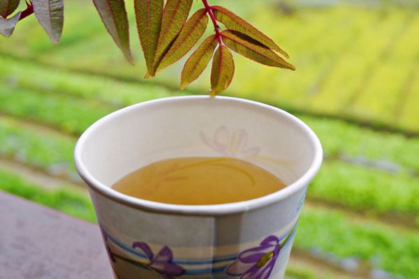 熱騰騰的刺蔥茶風味很特別，喝了全身暖和。