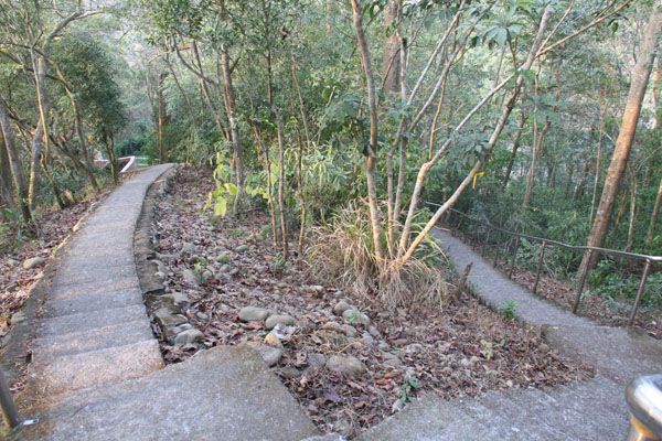 兩條岔路可通往同一主要路線。