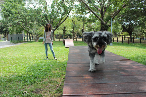 特別區隔出的小型犬區，同樣有木棧道等設施。