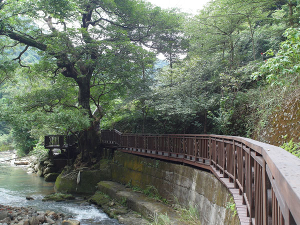 沿著木棧道蜿蜒而上，步道遊賞之旅已進尾聲。