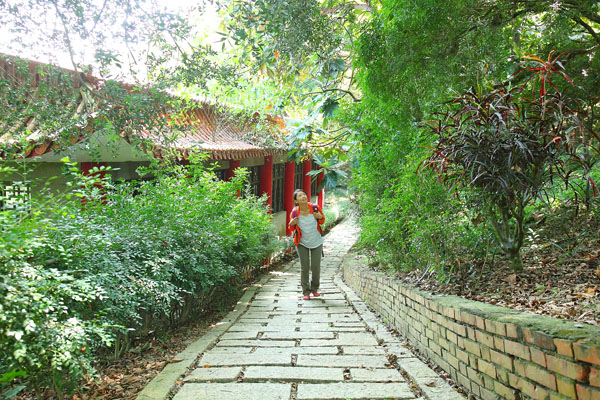 從虎山巖後方出發的步道，輕鬆路線僅一公里，適合全家人來散步，感受森林芬多精。