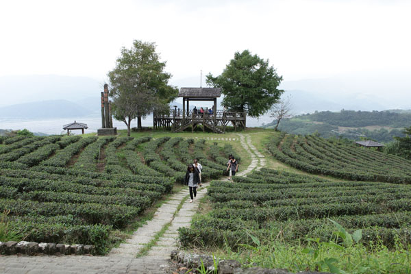 宜蘭 松羅步道