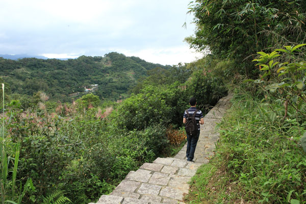 桂花林步道建置完善，兩旁桂花林立，鳥語花香走來是十分愜意。