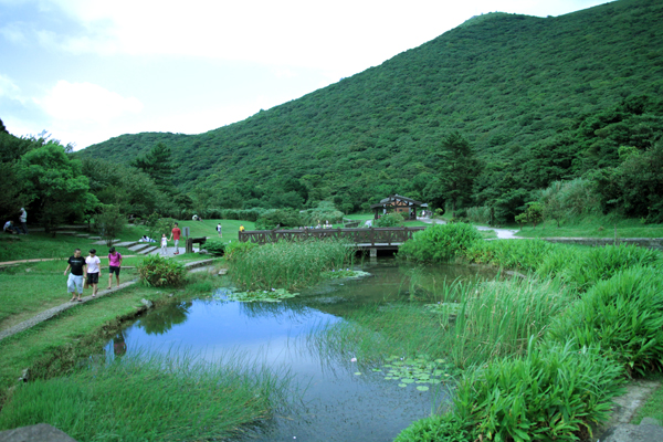 台北陽明山二子坪步道 玩咖playing 自由電子報