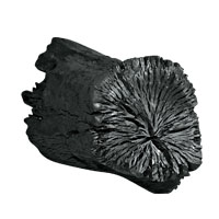 木炭生火 一學就搞定