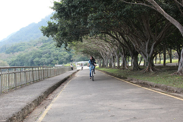 石門水庫內的單車步道平坦好騎，雖偶有坡度，但難度普通，很適合闔家大小遊玩。