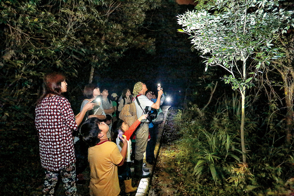 樹上有飛鼠！大家屏氣凝神地張大眼拚命搜尋。