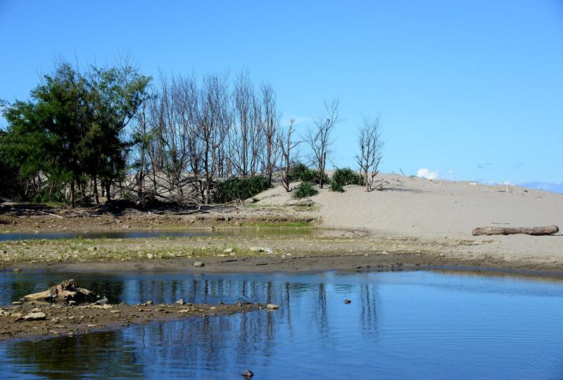 沙丘、溪流和海岸林間，構成一幅迷人的風景畫。