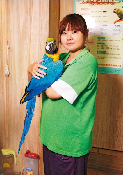 何晨瑜／寵物鳥世界 K2 Parrot&Pet House店長，擁有19年養鳥經驗，飼養過雀科、鸚鵡等寵物鳥，對於寵物鳥的照護及相處相當有經驗。（記者陳宇睿／攝影）