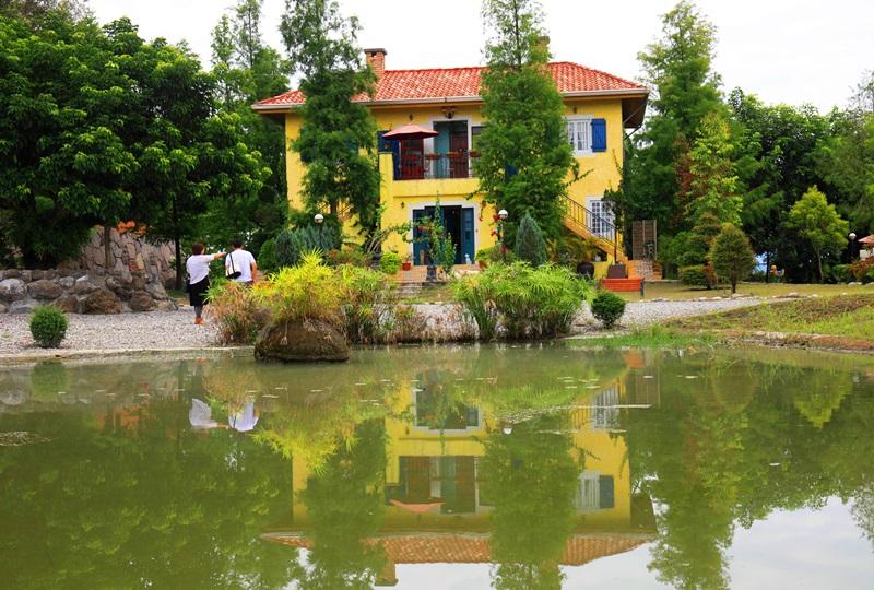 黃色的民宿主建築位於水池旁，偶爾還會看見李玠岳養的烏龜爬上岸。