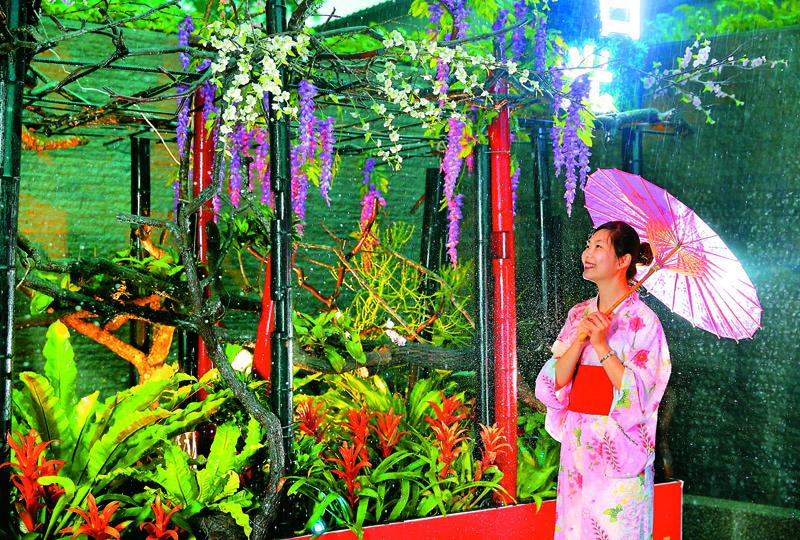 櫻花和紫藤開滿花架，最適合拍出日式風格賞花照。