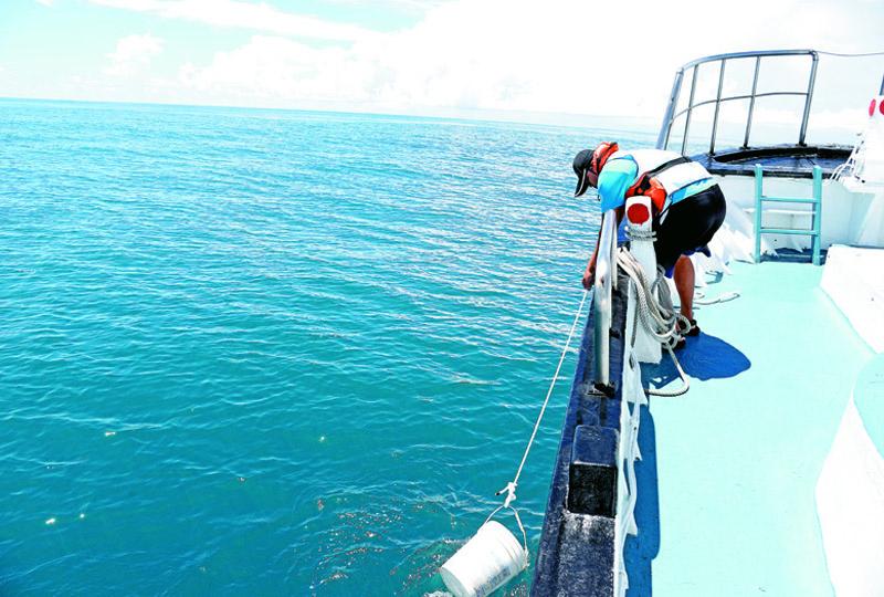 鯨豚調查員以水桶撈起海水進行水溫紀錄，可了解海水溫度與鯨豚習性。