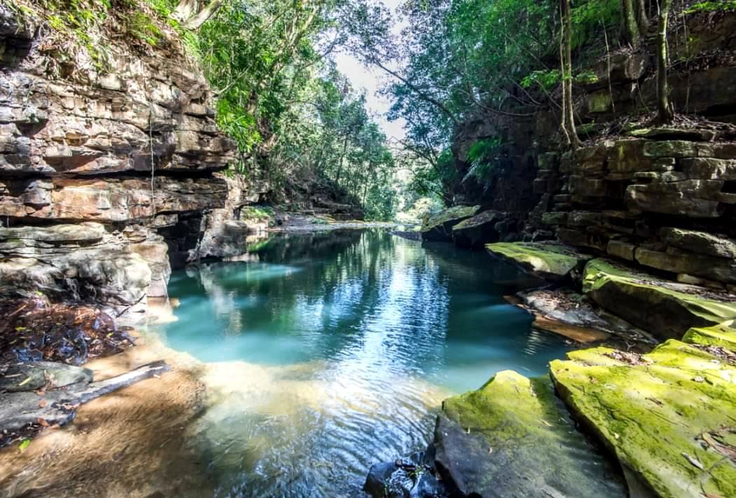 日月潭澀水社區有座水上森林步道，蕨類生長豐富，景觀原始，林務局早期在此闢設步道時，便稱之「侏儸紀公園」。（圖由陳秋坤提供）