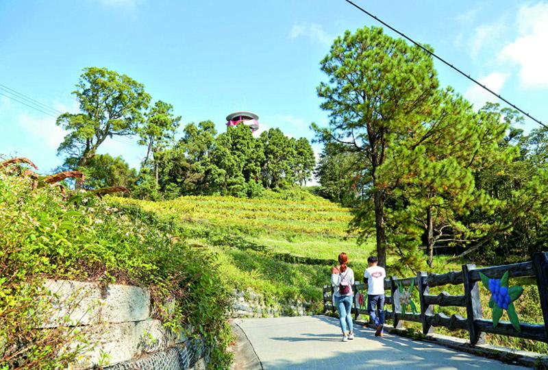 從薑麻園社區進入有百年歷史的出關古道，全程約3公里多。 （記者陳宇睿／攝影）
