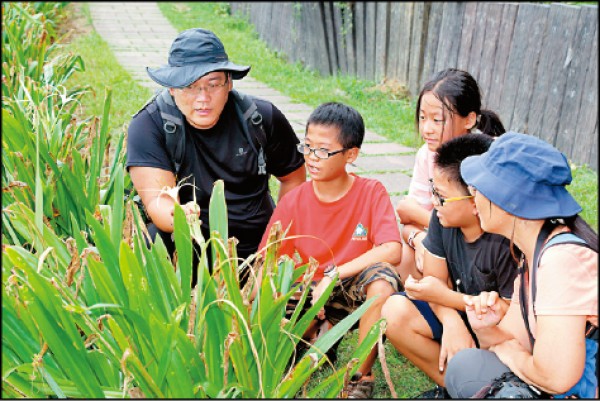 導覽員教學生如何辨認常見的植物「蜘蛛蘭」。（記者陳宇睿／攝影）