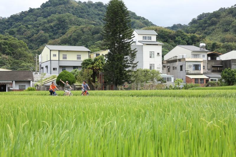 騎鐵馬漫遊福星村，騎在田埂間的單車車道，穿梭田野間欣賞芋頭田景觀，探索周邊「黃金小鎮」，是到福星社區旅遊最適合的旅遊方式。