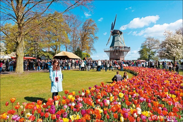荷蘭庫肯霍夫公園是世界上最大的花園，每年春季園區開滿鬱金香、風信子等花草，帶來繽紛視覺饗宴。（圖片提供／Evangeline）