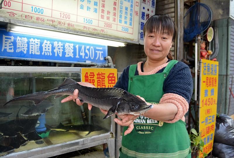 溫泉鄉雙玩法 谷關泡湯品味鱘龍魚 玩咖playing 自由電子報