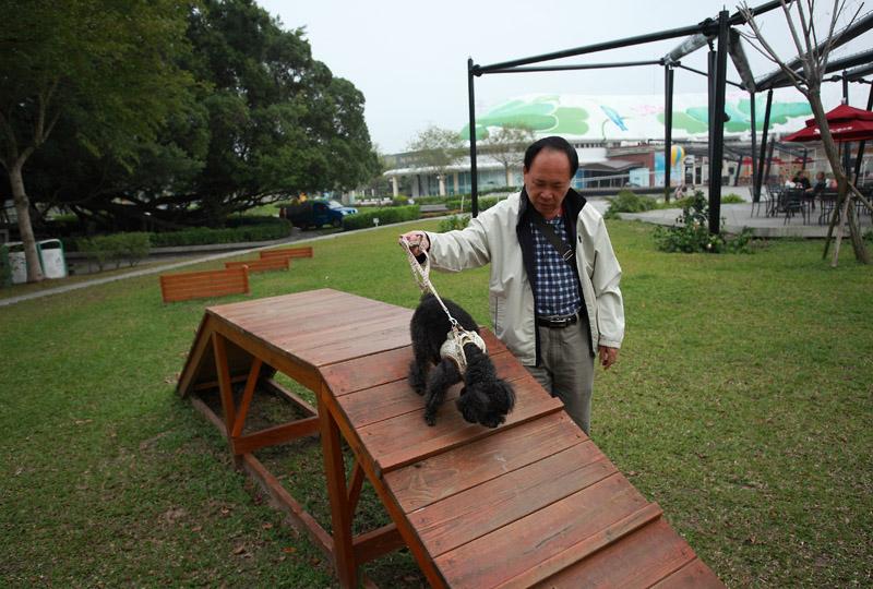 寵物公園的草地綠意盎然，設施不僅能讓寵物玩得盡興，飼主也開心。