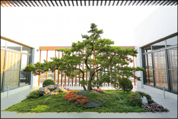 正巧書院在5樓設計的屋頂平台，種植有松柏與庭園植栽，兩側的空間設計為教室以及閱覽室。（記者李惠洲／攝影）
