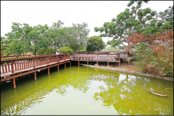 公園裡別有風情的生態池及木棧橋場景。（記者潘自強／攝影）