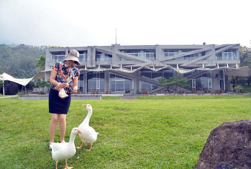 館內飼養2隻白鵝「觀觀」、「止止」，可以陪著遊客逛園區玩耍，在綠草上與主館拍照展現大器美景。