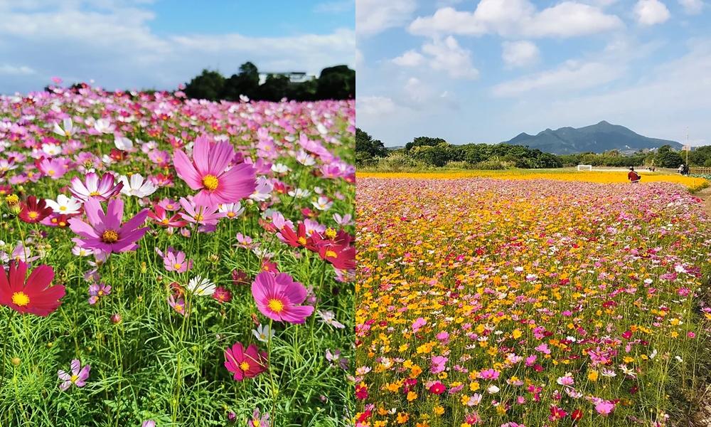 （圖／台北市工務局提供）