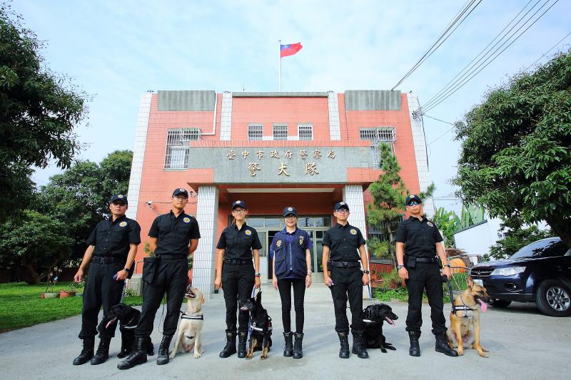 由美女隊長陳玉梅帶領的台中警犬隊，正式服役出任務。（記者李惠洲攝）