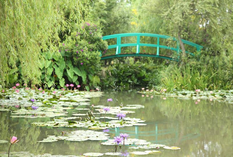 「莫內的花園」重現法國畫家莫內的名畫情景，讓人彷彿置身在名作當中。（記者沈昱嘉／攝影）