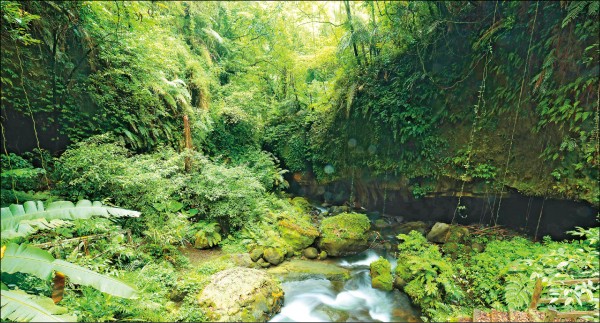 水濂橋步道沿著石子溪修築，來回路程僅需30分鐘，能感受林蔭茂密的樹林帶來的涼爽，還能欣賞到特殊的河谷地形。（記者陳宇睿／攝影）