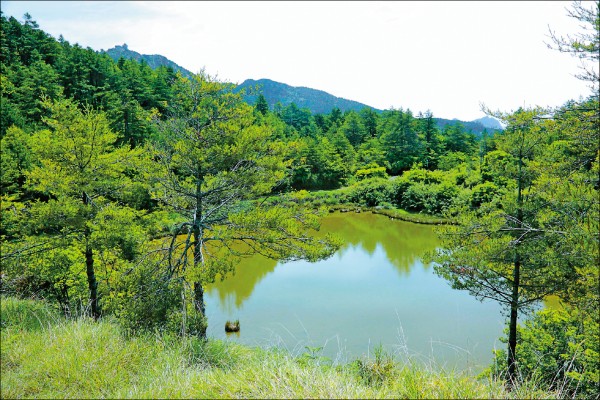 海拔高2,600公尺的小雪山天池，溫度涼爽宜人，翠綠群山圍繞著碧綠池水，更讓蒸溽之氣消失無蹤。（記者李惠洲／攝影）