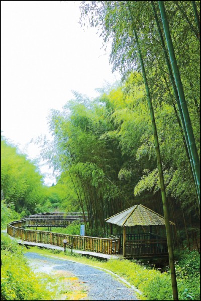 被孟宗竹林圍繞著的梨寮園區，竹棧道環繞生態池、40多座涼亭點綴其間，綠意盎然美不勝收！（記者李惠洲／攝影）