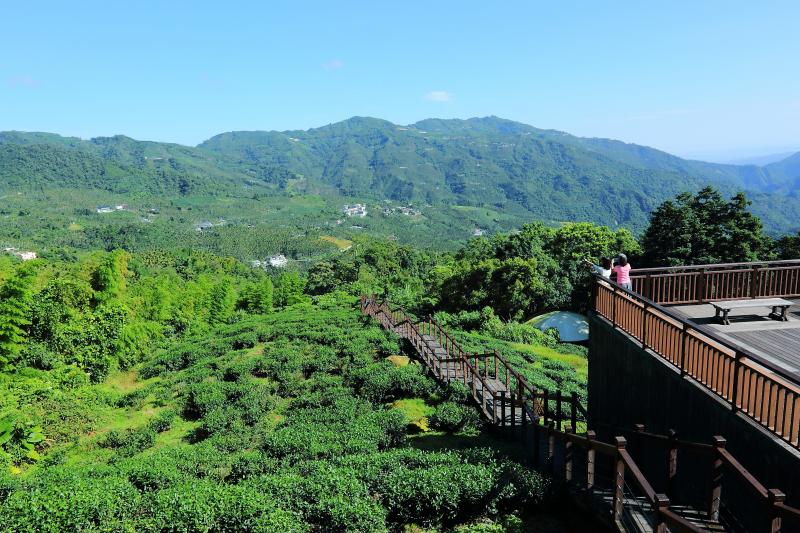 太興岩步道能遠眺毛樹溪山谷，欣賞黃頭鷺越過鳳凰山的景象。（記者李惠洲／攝影）