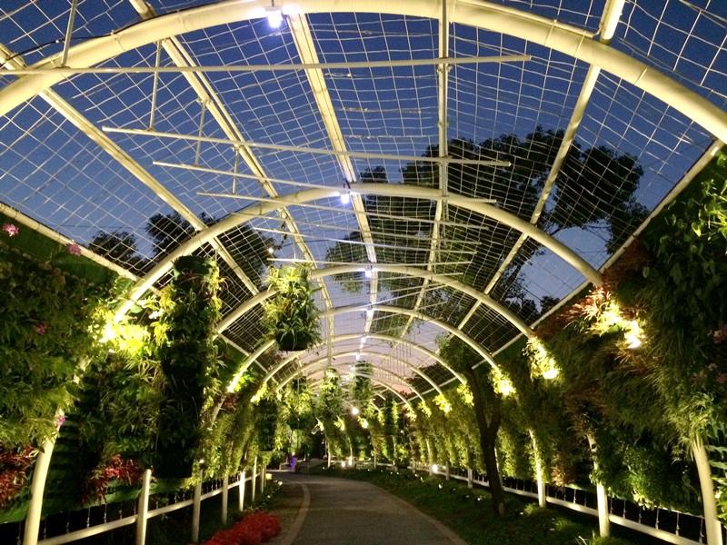 台中花博豐原葫蘆墩公園的花廊道。（台中市政府提供）