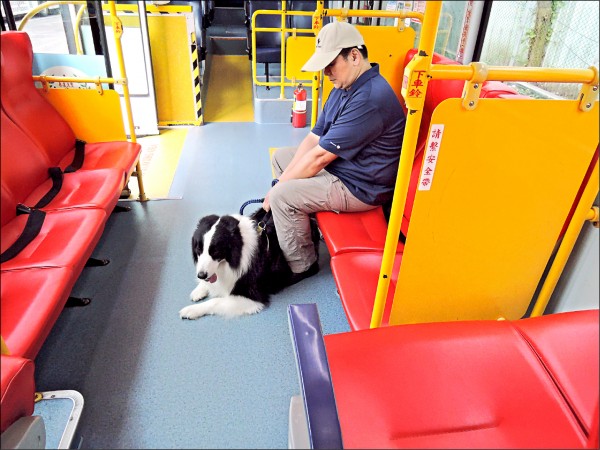 帶狗狗搭乘公車，記得一定要牽繩，飼主須確保狗狗上車時的情緒及健康狀態。（台北市公共運輸處提供）