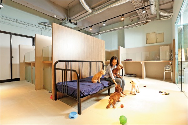 狗狗睡覺的房間分為小型犬、中大型犬，同時24小時有保母陪伴。（記者沈昱嘉／攝影）