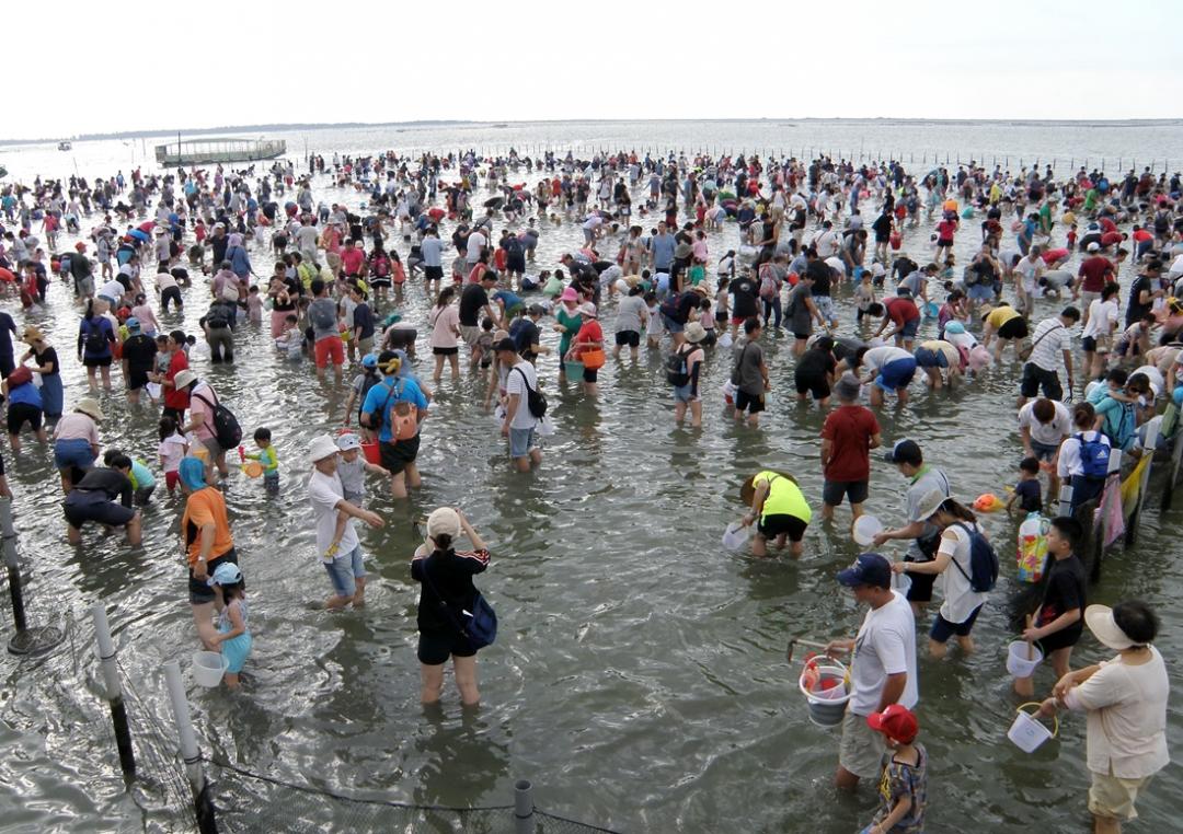 台南七股海鮮節每年吸引逾千人下海「摸蛤兼洗褲」。（圖／本報資料照，記者楊金城攝）