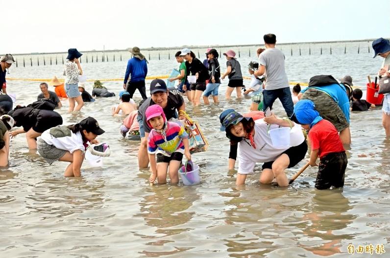 親子拿著水桶、小鏟子踩在冰涼的海水與細沙中，或蹲或彎腰挖文蛤，玩得全身濕也不亦樂乎。（圖／本報資料照，記者楊金城攝）